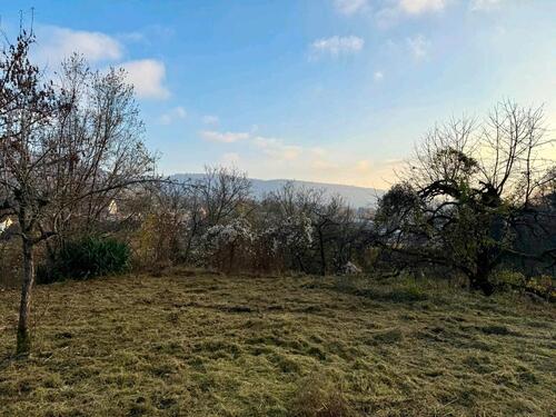 Foto - Grundstück in Ettenheim