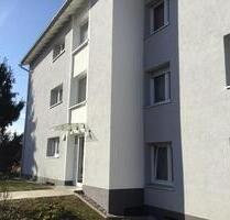 Neu moderniserte 3 Zimmerwohnung - Stuttgart Neuwirtshaus