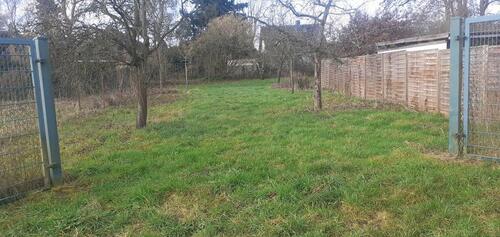 Foto - Obstwiese Garten Freizeitgrundstück Hundewiese