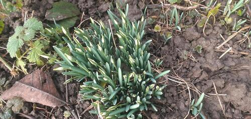 Foto - Grundst&uuml;ck in Jüchen zur Miete