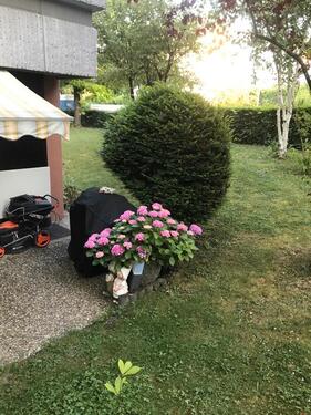 Foto - Etagenwohnung in Sindelfingen zum Kaufen