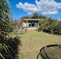 Kleingarten - 700,00&nbsp;EUR Kaltmiete, ca.&nbsp; 0,00&nbsp;m&sup2; in Stralsund (PLZ: 18439)