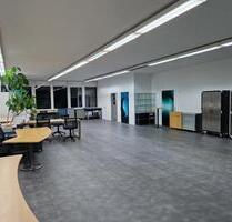 Modernes & lichtdurchflutetes Büro, renoviert mit Blick ins Grüne - Esslingen am Neckar Oberesslingen