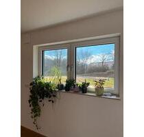 Moderne 1,5-Zimmer-Einliegerwohnung im Erstbezug mit Küche - Hohenthann