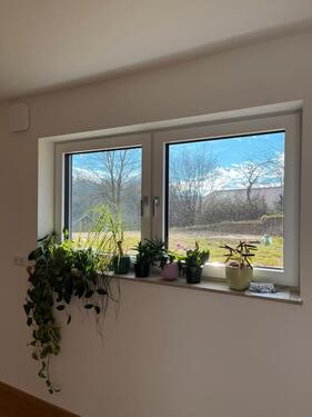 Foto - Etagenwohnung in Hohenthann zur Miete