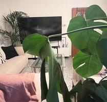 Große möbliertes WG Zimmer für Frauen - Alsdorf