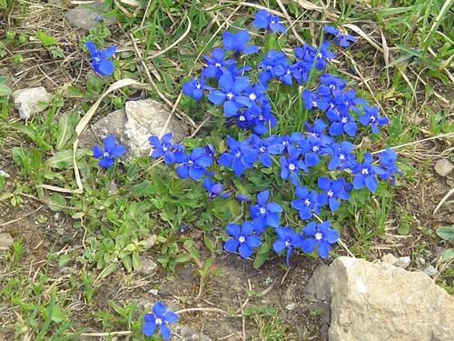 Foto - 2,5-Zimmer Wohnung, behindertengerecht, Aufzug
