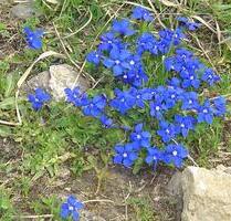2,5-Zimmer Wohnung, behindertengerecht, Aufzug - Villingen-Schwenningen Kopsbühl