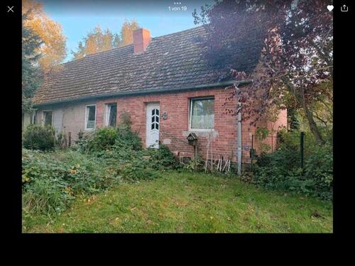 Foto - Einfamilienhaus zum Kaufen in Borrentin
