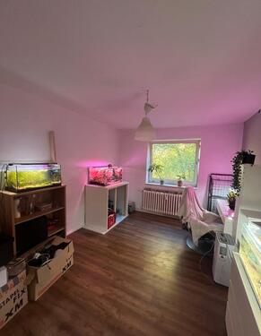 Foto - 63.5 Zimmer Etagenwohnung in Kiel