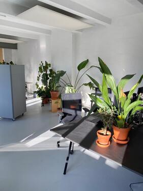 Foto - Fabrikloft in Kreuzberg Ganze Büroetage