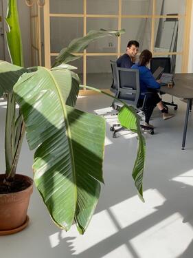 Foto - andere zur Miete in Berlin