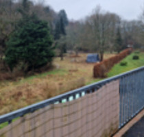 Helle und ruhig gelegene Zweizimmerwohnung in Eitorf