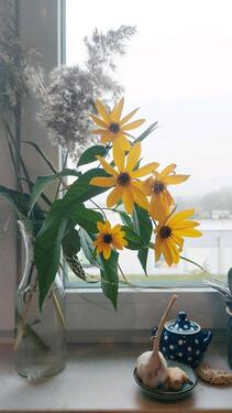 Foto - 2 Zimmer Etagenwohnung zur Miete in Werder (Havel)