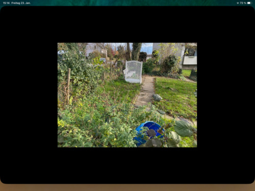 Foto - Garten in Schwerte , Schwerter Heide ca 200qm Jahrespacht 500,-