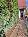 Foto - 5 Zimmer Einfamilienhaus in Crinitz