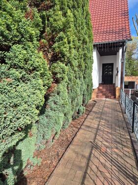 Foto - 5 Zimmer Einfamilienhaus in Crinitz