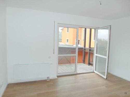 Foto - Radebeul-Lindenau: Kleine 2-Zimmer-Singlewohnung * frisch renoviert, mit Balkon & neuem Laminatboden