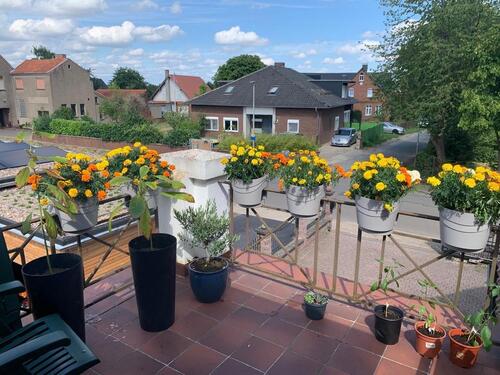 Foto - Etagenwohnung in Minden