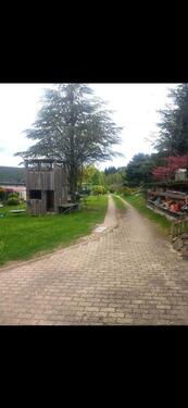 Foto - 7 Zimmer Mehrfamilienhaus, Wohnhaus in Elgersburg