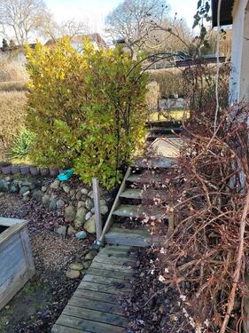 Foto - Grundst&uuml;ck zur Miete in Schwerin