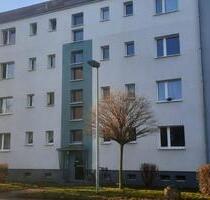 Frisch renovierte 3- Raumwohnung mit Einbauküche - Aschersleben