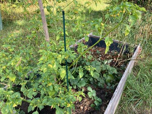 Foto - Grundst&uuml;ck in Frankfurt am Main