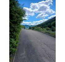 2 Zi Whg 80 qm in Badherrenalb,.. 20 KM nach Ettlingen.. - Waldbronn