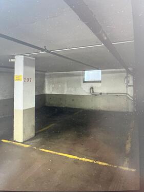 Foto - andere in Dresden