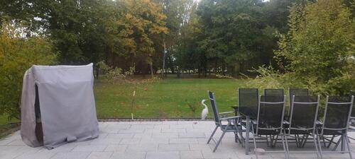 Foto - Einfamilienhaus in Löhne zum Kaufen
