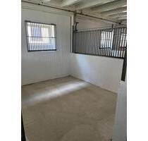 Lagerboxen, Lagerraum, Aufbewahrungsraum, Storage zu vermieten - Westhausen