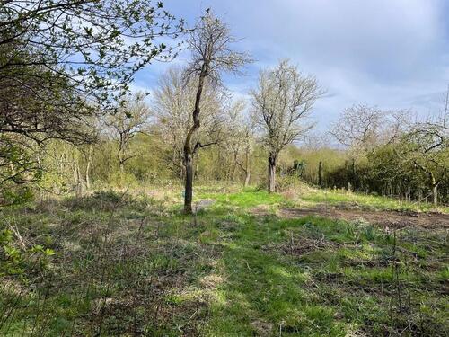 Foto - Grundst&uuml;ck zur Miete in Maintal