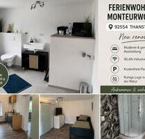 1 Zimmer Ferienwohnung Monteurwohnung - Thanstein