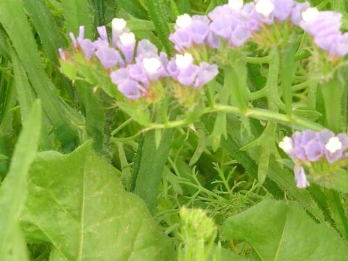 Foto - 2 Zi-Wohnung kpl. möbilert und ausgestattet