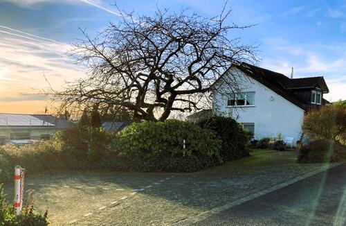 Foto - andere in Siegburg