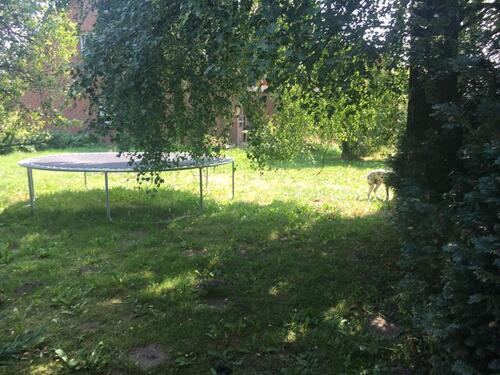Foto - Etagenwohnung in Elmenhorst zur Miete