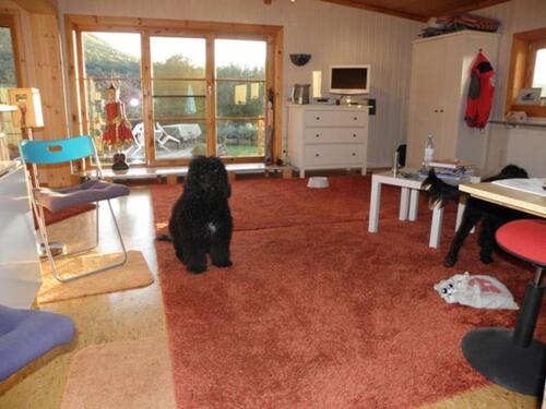 Foto - Einfamilienhaus in Bad Wildungen zum Kaufen