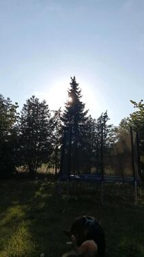 Foto - Chance: Sonnige 4-Zimmerwohnung in Heilsbronn frei geworden.