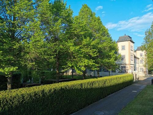Foto - Hochparterre in Erfurt zum Kaufen