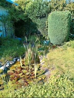 Foto - Grundst&uuml;ck in Rostock