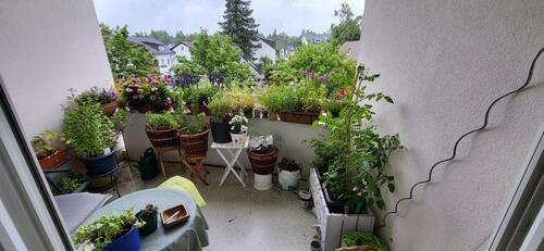 Foto - 2 Zimmer Etagenwohnung in Gröbenzell