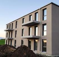 ERSTBEZUG! Schöne 2-Raum Wohnung mit Weitblick und EBK in Tessin!