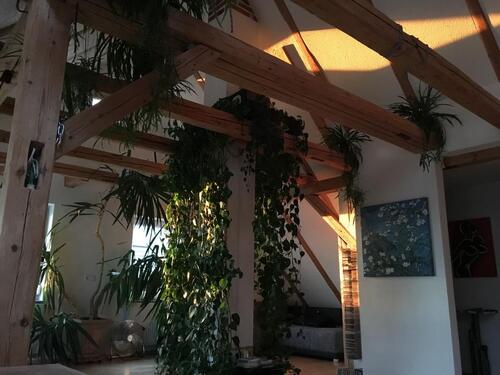 Foto - 3 Zimmer Etagenwohnung in Aalen