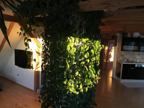 Foto - Etagenwohnung in Aalen zur Miete