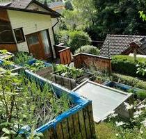 Einfamilienhaus - 475.000,00&nbsp;EUR Kaufpreis, ca.&nbsp; 300,00&nbsp;m&sup2; in Furtwangen im Schwarzwald (PLZ: 78120)