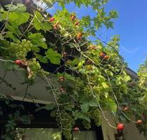 Sommer im Garten. Winter am Kamin. Zuhause für die ganze Familie - Berlin Reinickendorf