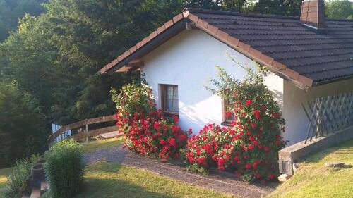 Foto - Verkaufe Immobilie Garten Ferienhaus