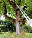 Foto - Grundstück zur Miete in Leipzig