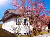 Foto - Exklusive Architektenvilla in Erzhausen in Feldrandlage