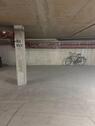 Foto - andere in Trier